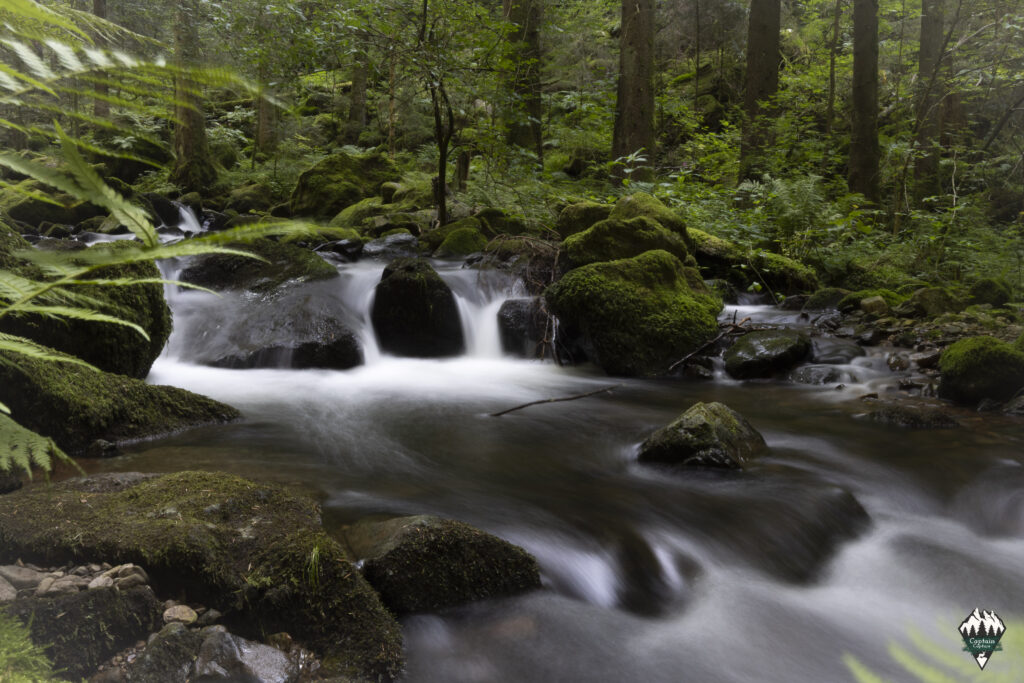 Picture of a pool in Teichschlucht, Black Wood Forest