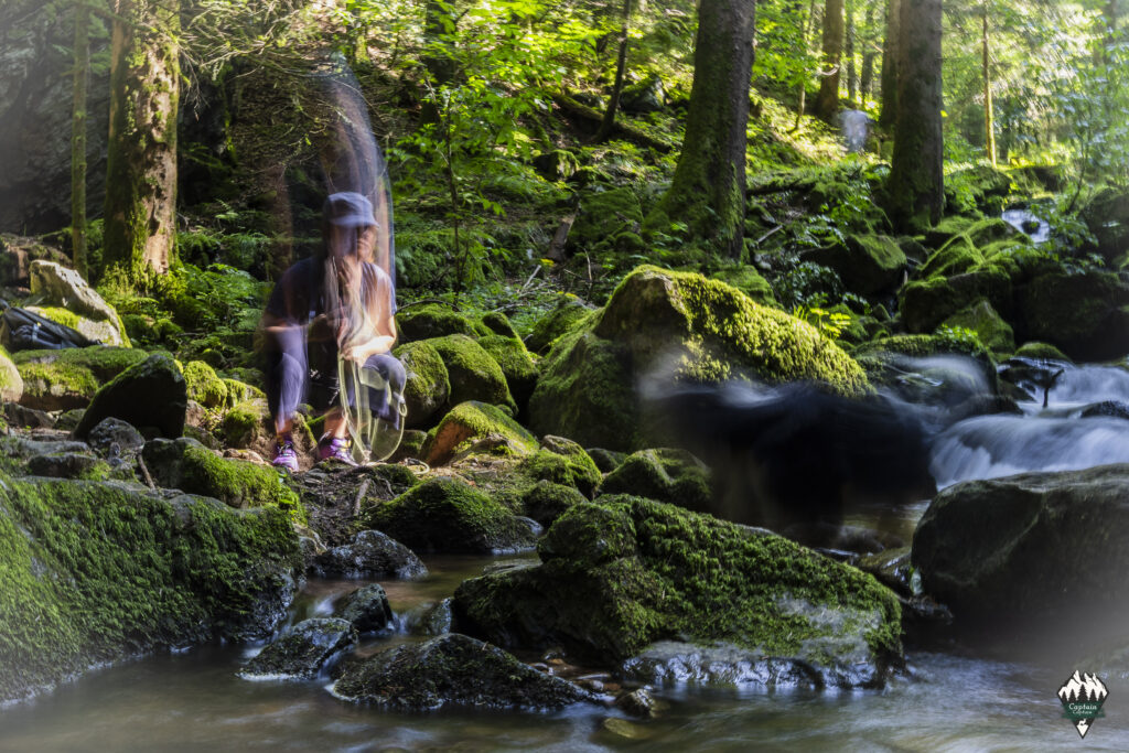 Picture of a pool in Teichschlucht, Black Wood Forest
